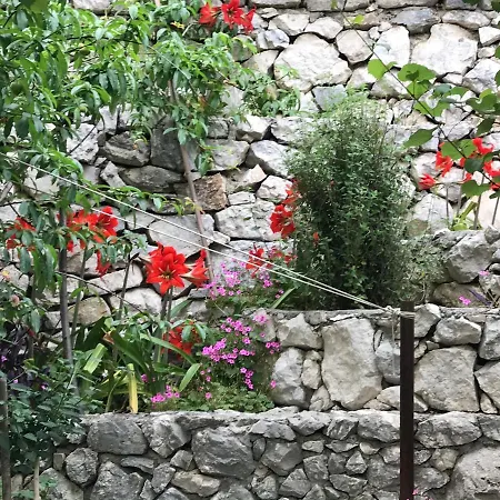 Apartment Victoria Omis